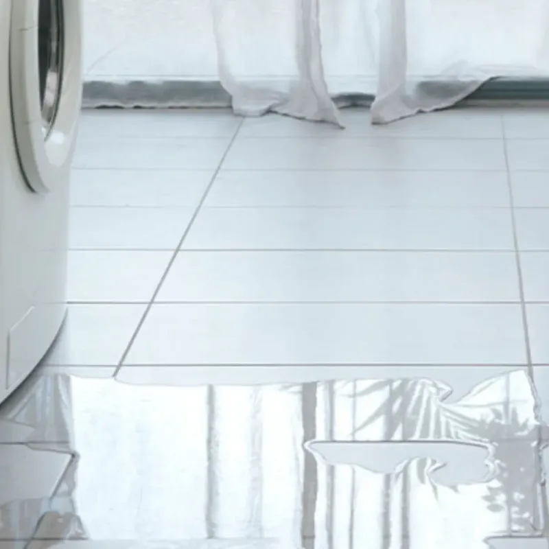 Appliance Leak Cleanup in Rainbow, CA