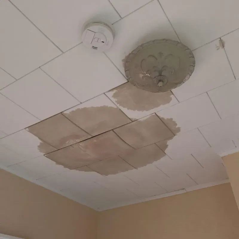 Ceiling Water Damage Repair in Rainbow, CA