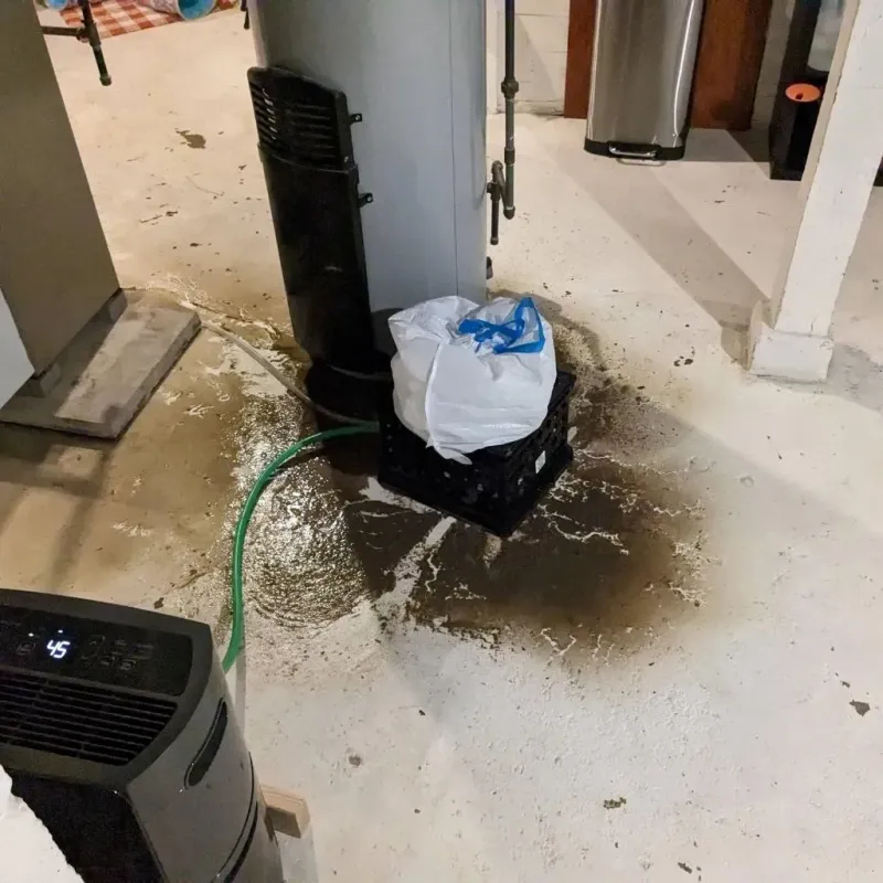 Sewage Backup Cleanup Service in Rainbow, CA